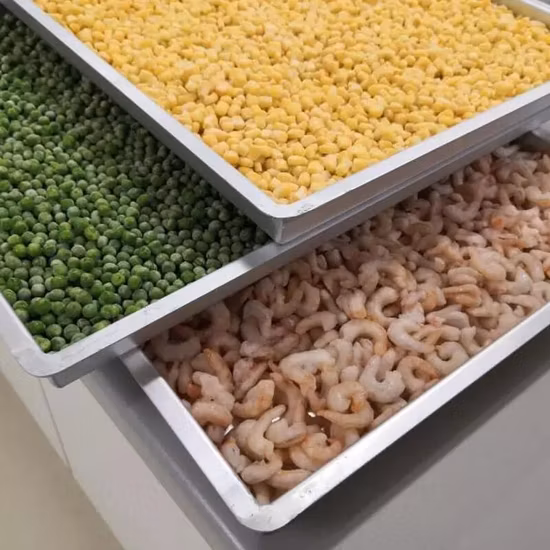 Minuterie réglable numérique de séchage rotative, déshydrateur alimentaire commercial à 15 couches
