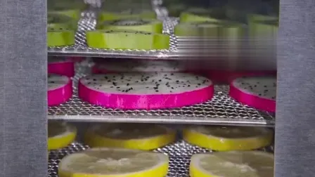 Déshydrateur de fruits et légumes secs